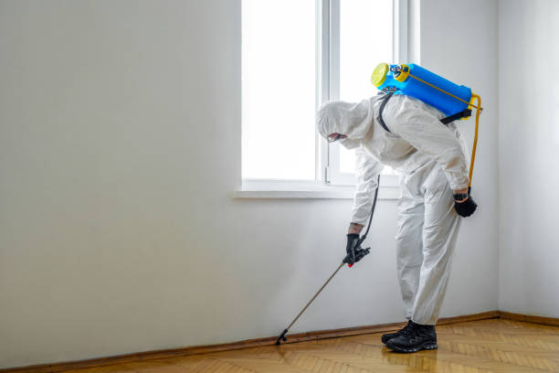 Best Bed Bug Extermination  in Bernice, LA